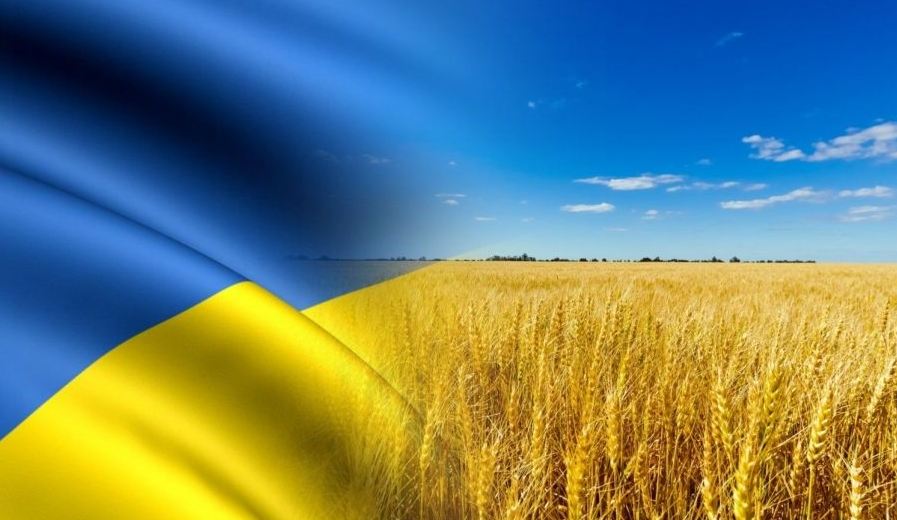 Польща та Румунія відмовилися збільшувати транзит українського зерна — Politico